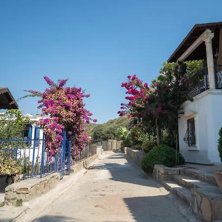 Charming House With Amazing Sea View In Gumusluk, Bodrum Villa Gümüşlük